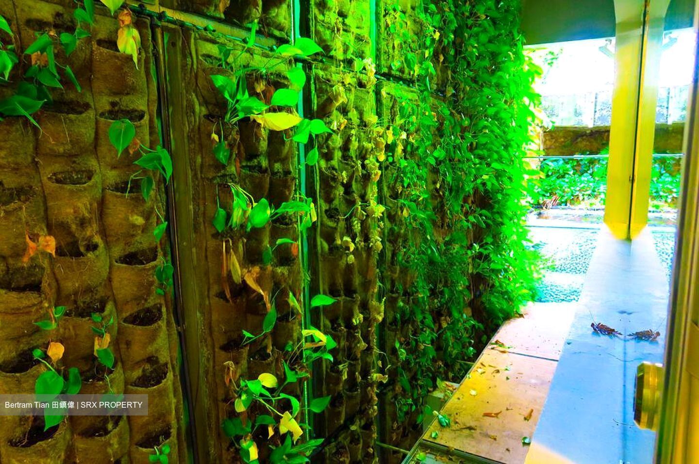 Jalan Elok (D9), Terrace #458974121